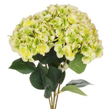 Cargar imagen en el visor de la galería, Large 5-Stem Hydrangea (Only 1 Bunch Left!)