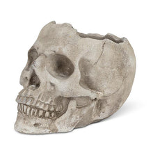 Cargar imagen en el visor de la galería, Large Skull Planter (Only 1 Left)