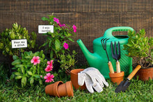 Cargar imagen en el visor de la galería, Cast Iron Plant Spike Signs (3 Different Sayings Left!)