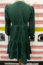 Load image into Gallery viewer, NWT Gabby Skye Velour Dress (Size 4)