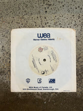 Cargar imagen en el visor de la galería, Vintage Rock Promo 45 Vinyls (7 Options)