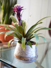 Cargar imagen en el visor de la galería, Galvanized Metal Planter