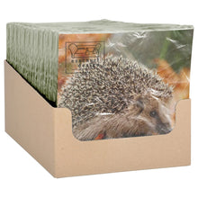 Cargar imagen en el visor de la galería, 20 Pack of Animal Lunch Napkins (Only Hedgehog Left!)
