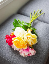 Load image into Gallery viewer, Double Bloom Peony Stems (6 Colours)
