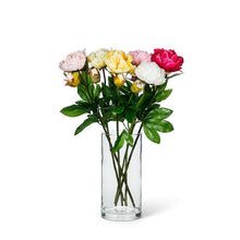 Load image into Gallery viewer, Double Bloom Peony Stems (6 Colours)
