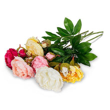 Load image into Gallery viewer, Double Bloom Peony Stems (6 Colours)

