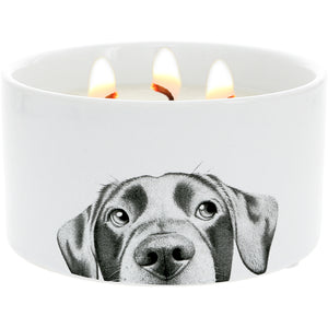 Dog Triple Wick UNIQUE REVEAL Soy Candle (Only 1 Left!)