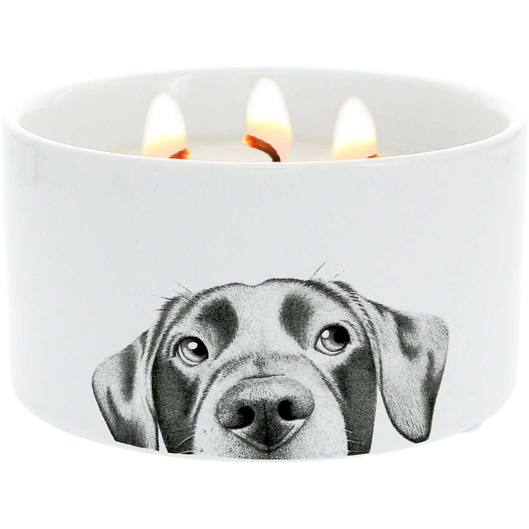 Dog Triple Wick UNIQUE REVEAL Soy Candle (Only 1 Left!)