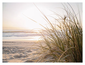 Beach Grass Canvas Art