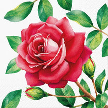 Load image into Gallery viewer, Assorted 20 Pack of Lunch Napkins (13 Designs)
