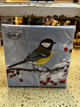Load image into Gallery viewer, Assorted 20 Pack of Holiday Napkins (5 Designs)
