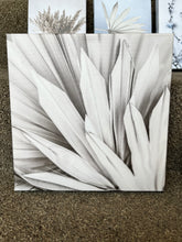 Load image into Gallery viewer, Close-Up Palm Canvas Art
