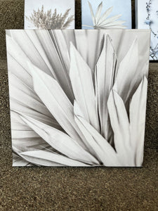 Close-Up Palm Canvas Art