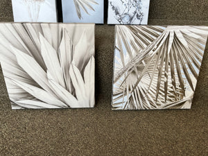 Close-Up Palm Canvas Art