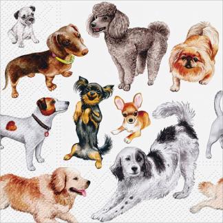 Assorted 20-Pack Lunch Napkins (10 Styles)