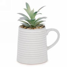Cargar imagen en el visor de la galería, Succulent Plant In Mug (3 Colours)
