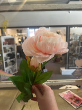 Load image into Gallery viewer, Double Bloom Peony Stems (6 Colours)
