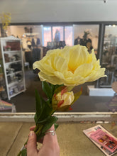 Load image into Gallery viewer, Double Bloom Peony Stems (6 Colours)
