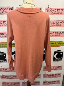 Basic V-Neck Sweater (Size L)