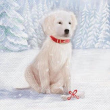 Load image into Gallery viewer, Assorted 20 Pack of Holiday Napkins (5 Designs)
