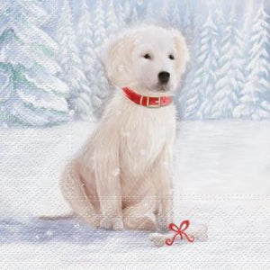 Assorted 20 Pack of Holiday Napkins (5 Designs)