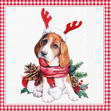 Load image into Gallery viewer, Assorted 20 Pack of Holiday Napkins (5 Designs)
