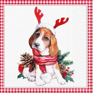 Assorted 20 Pack of Holiday Napkins (5 Designs)