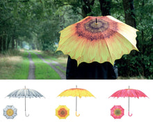 Load image into Gallery viewer, Flower Umbrellas (3 Flowers)
