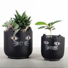 Load image into Gallery viewer, Black Cat Flower Pot (Only 1 Small Left!)
