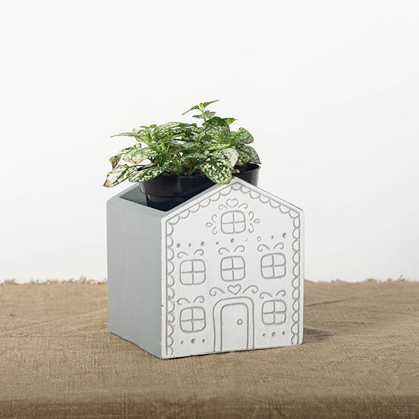 House Flower Pot