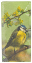 Load image into Gallery viewer, Animal Tissue Packs (4 Animals)
