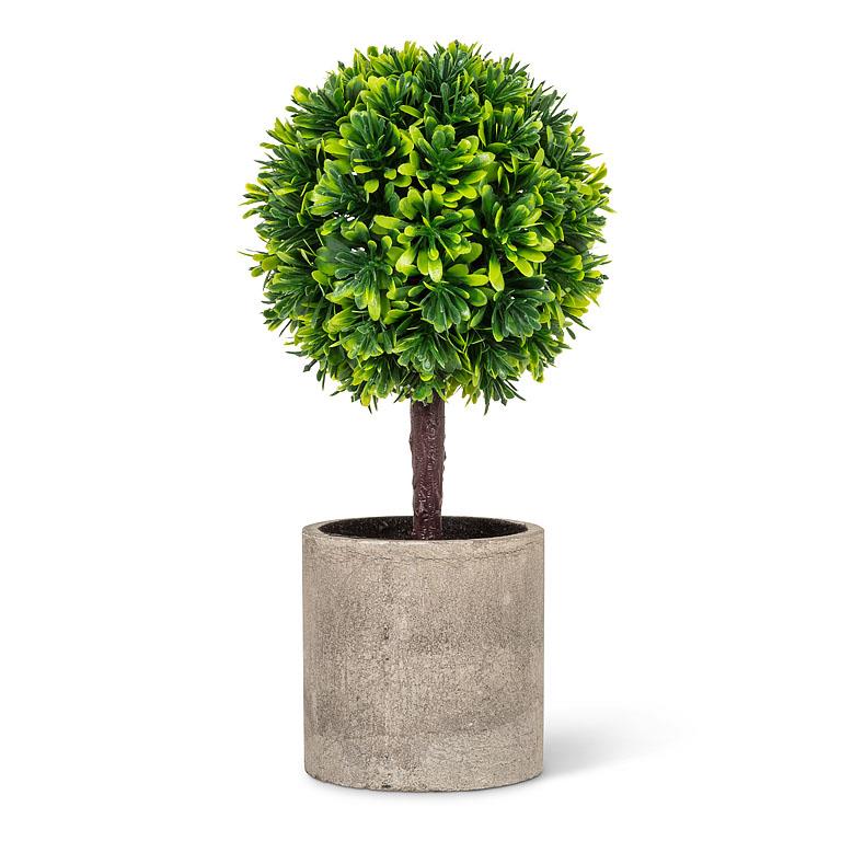 Green Boxwood Topiary (Only 1 Left!)