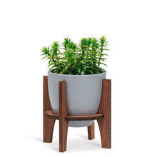 Load image into Gallery viewer, Desk/Counter Size Pot- Grey
