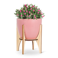 Load image into Gallery viewer, Pink Desk/Counter Size Pots - Pink
