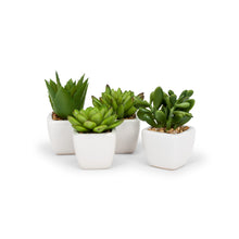 Load image into Gallery viewer, Mini Succulents (3 Styles Left!)
