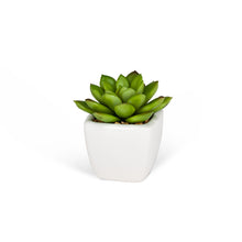 Load image into Gallery viewer, Mini Succulents (3 Styles Left!)
