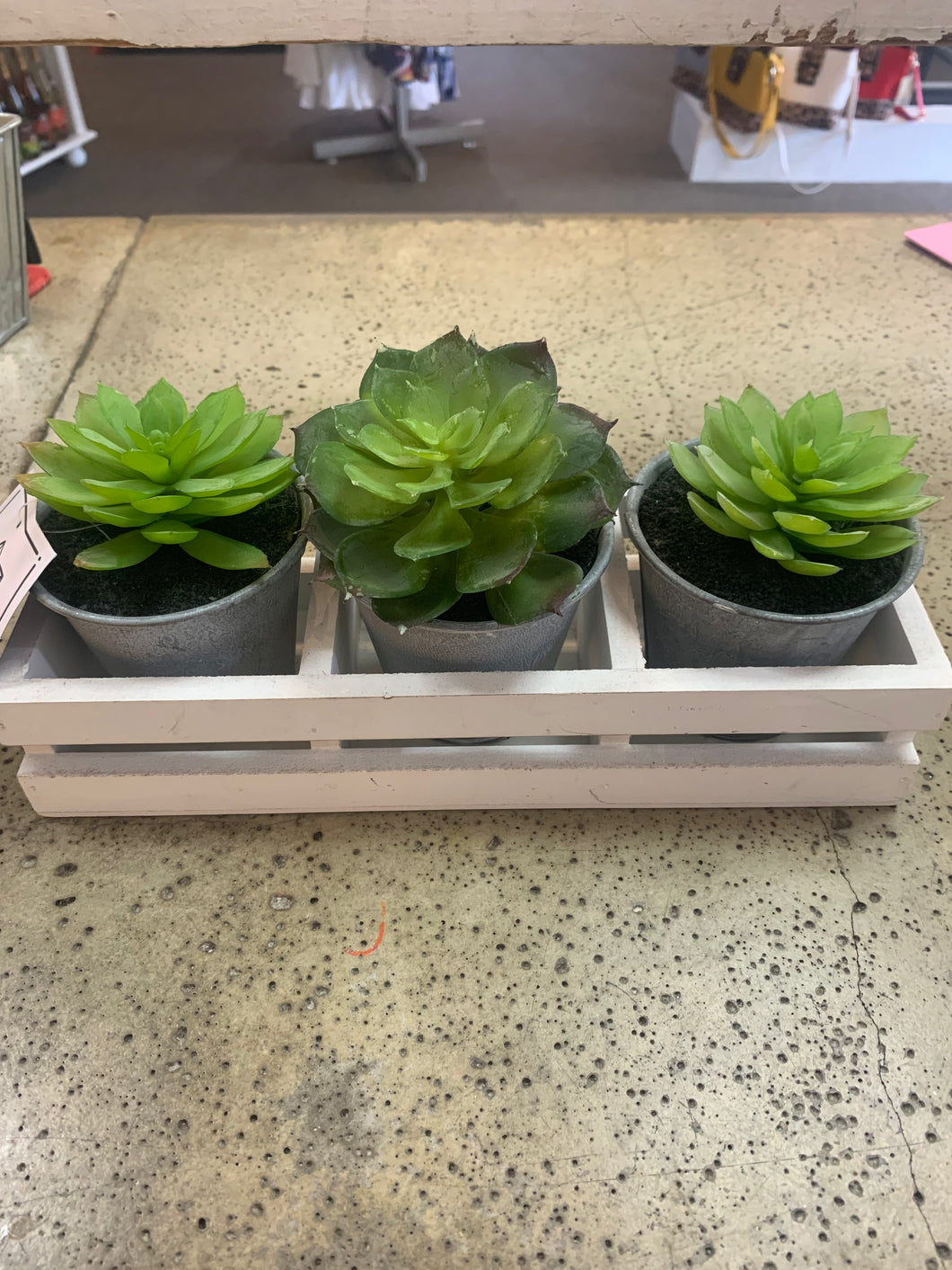 Fake Plant Set in Wooden Crate