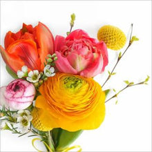 Load image into Gallery viewer, Assorted 20 Pack of Lunch Napkins (6 Styles)
