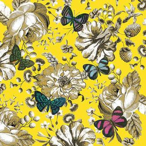Assorted 20 Pack of Lunch Napkins (8 Styles)