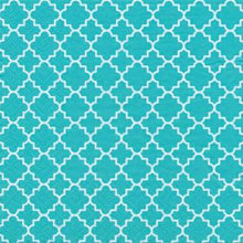 Load image into Gallery viewer, Assorted 20 Pack of Lunch Napkins (6 Styles)

