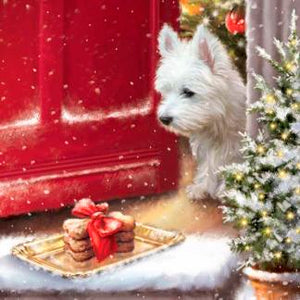Assorted 20 Pack of Holiday Napkins (9 Styles)