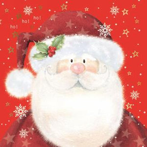 Assorted 20 Pack of Holiday Napkins (8 Designs)