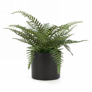 Faux Fern in Black Pot