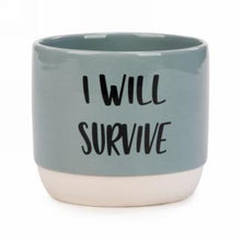 Load image into Gallery viewer, Ceramic Plant Pots (2 Styles)
