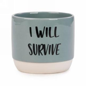 Ceramic Plant Pots (2 Styles)