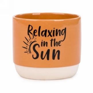 Ceramic Plant Pots (2 Styles)
